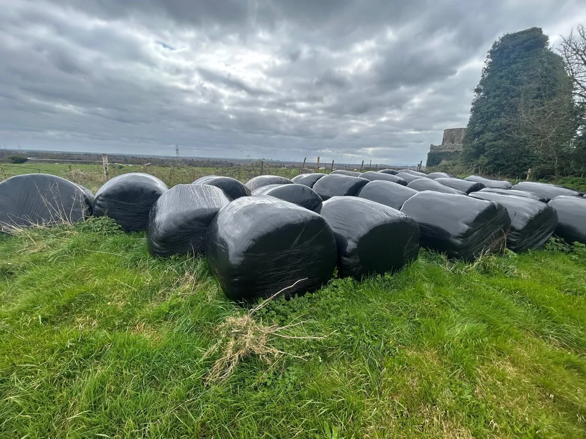 Bale Silage