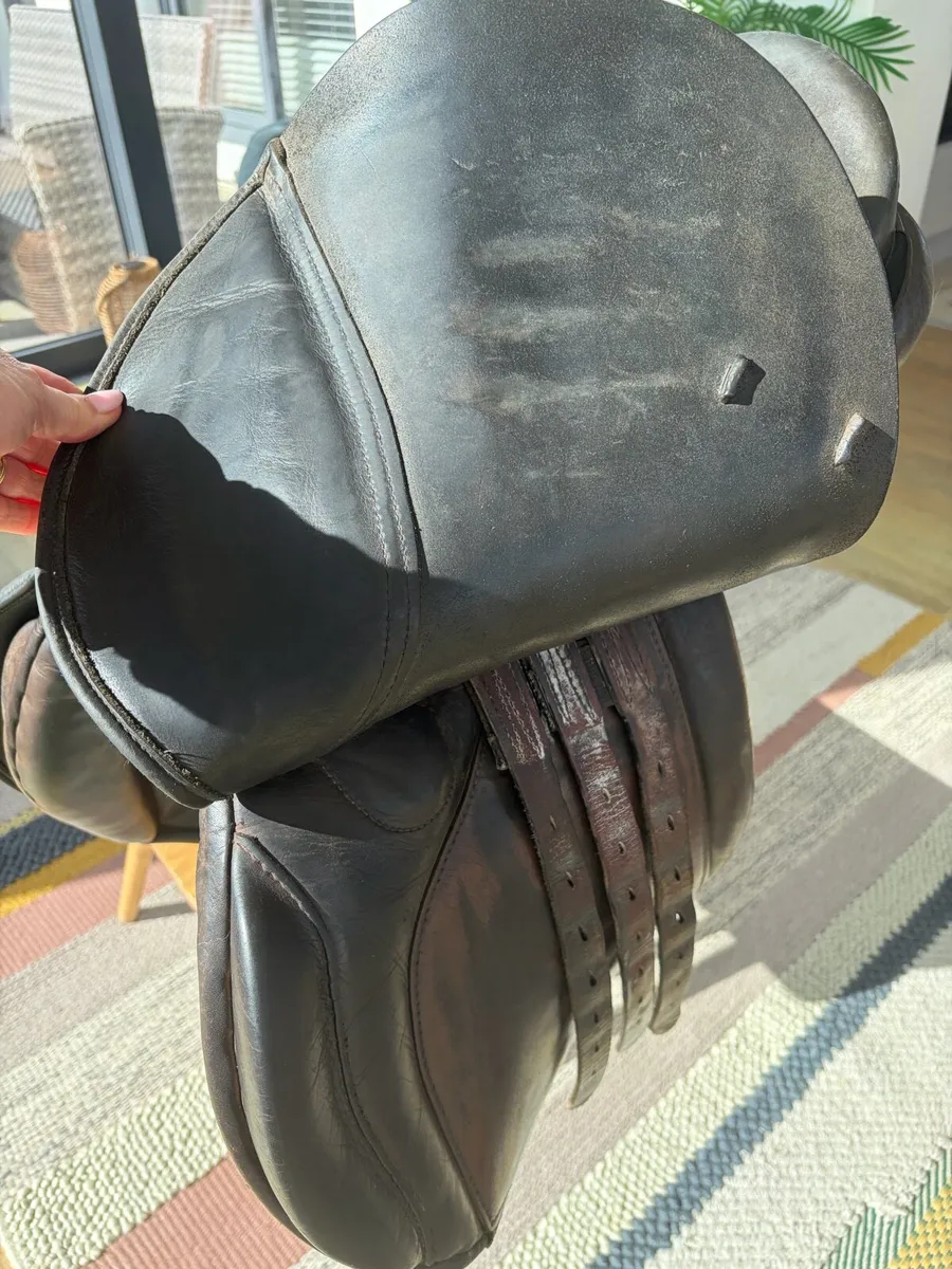 Berney Bros Saddle - Image 4