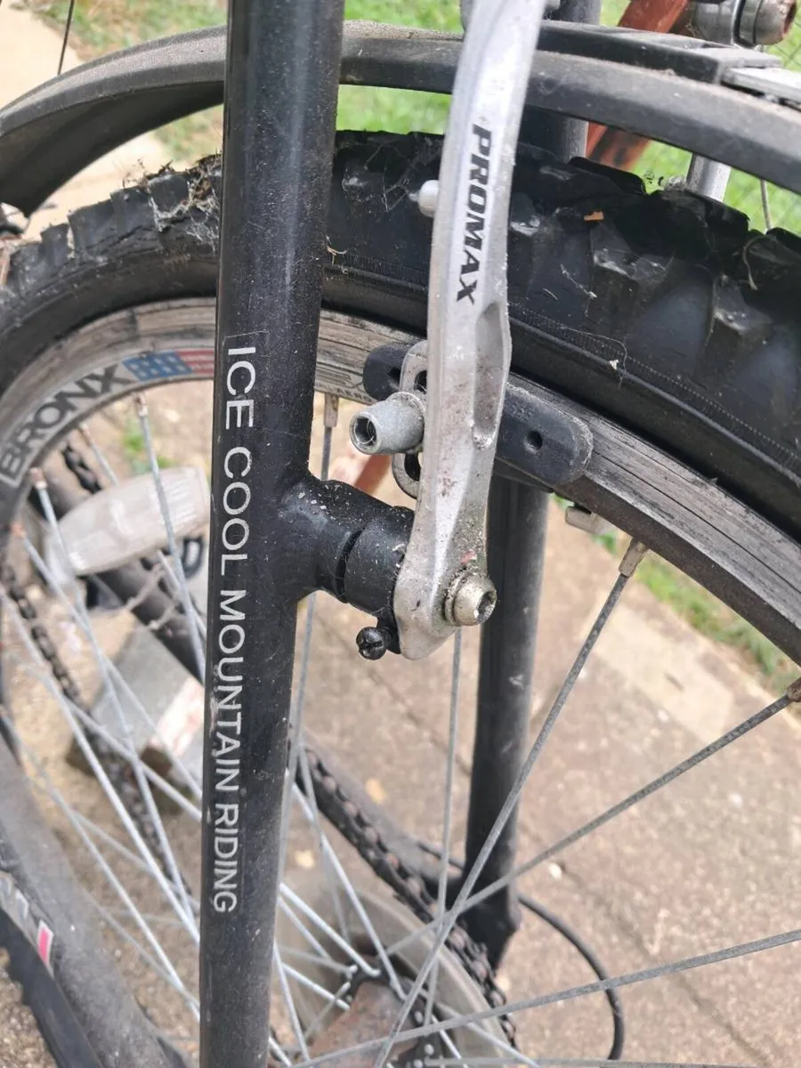 Men's Mountain Bike - Image 2