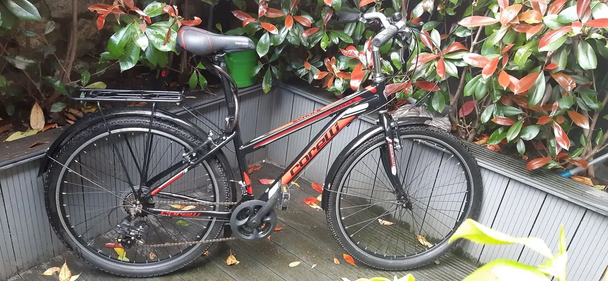 Ladies City Bike - Image 1