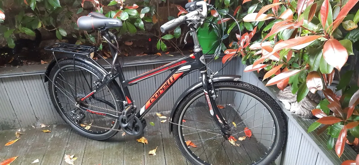 Ladies City Bike - Image 2