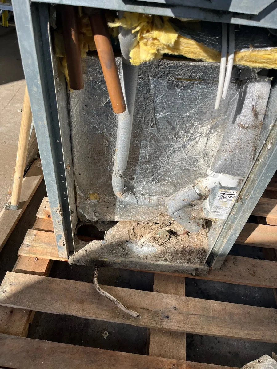 Grant oil boiler - Image 3