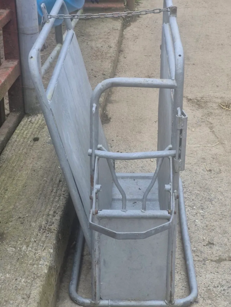 Calf Dehorner Crate - Image 1