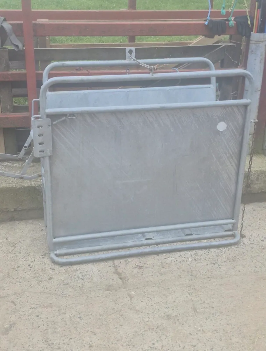 Calf Dehorner Crate - Image 2