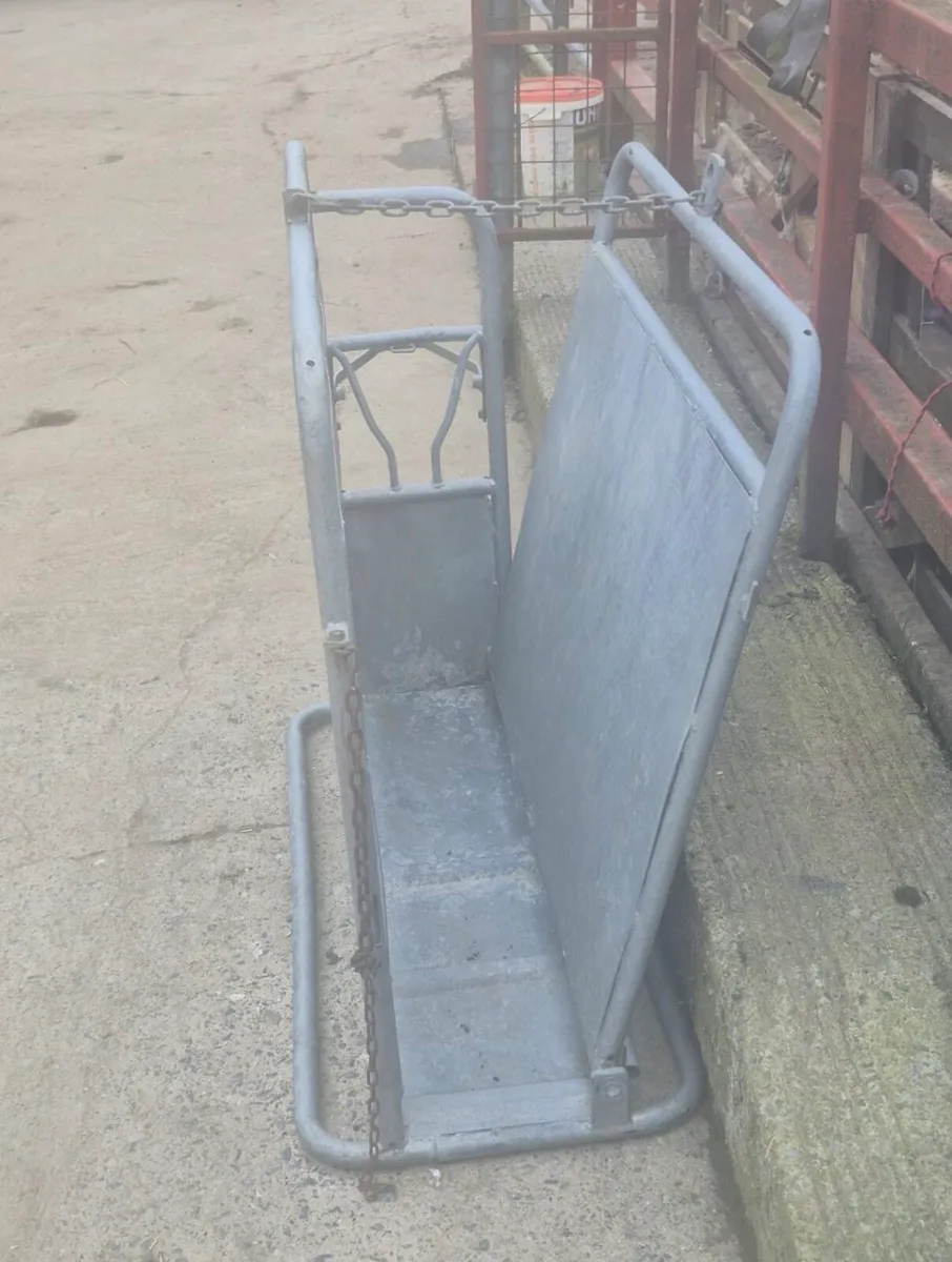 Calf Dehorner Crate - Image 3