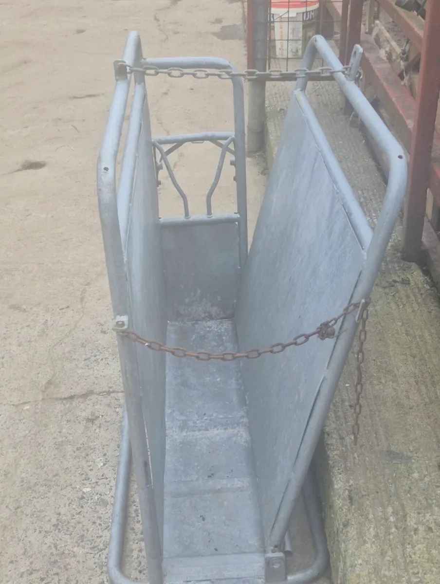 Calf Dehorner Crate - Image 4