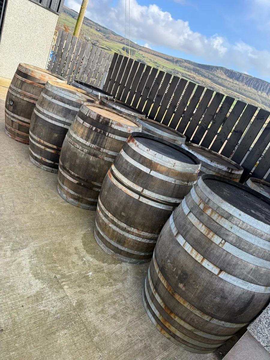 500 Litre Whiskey Barrel - Image 1