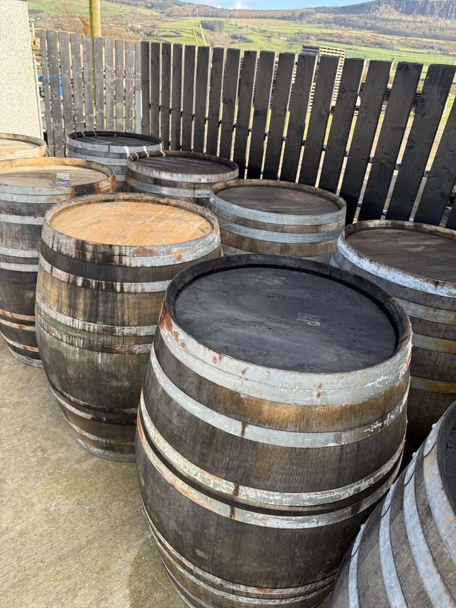 500 Litre Whiskey Barrel - Image 2