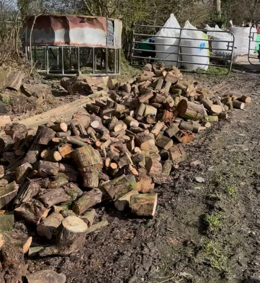 Bulk bags of logs - Image 1