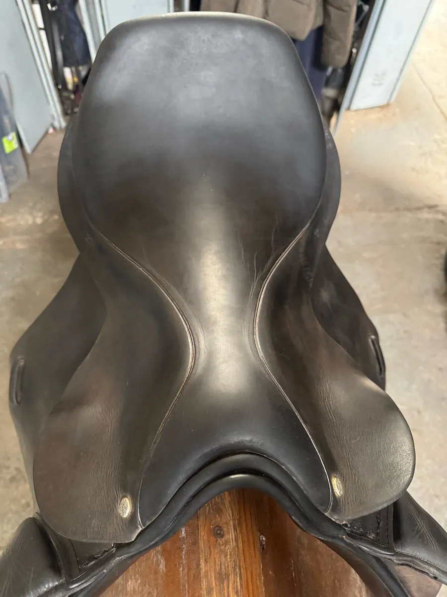Berney International GP/Jump saddle - Image 3