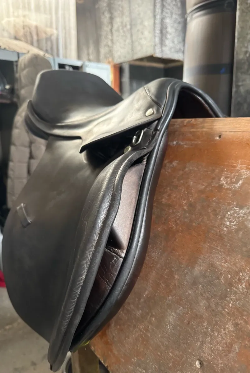 Berney International GP/Jump saddle - Image 4