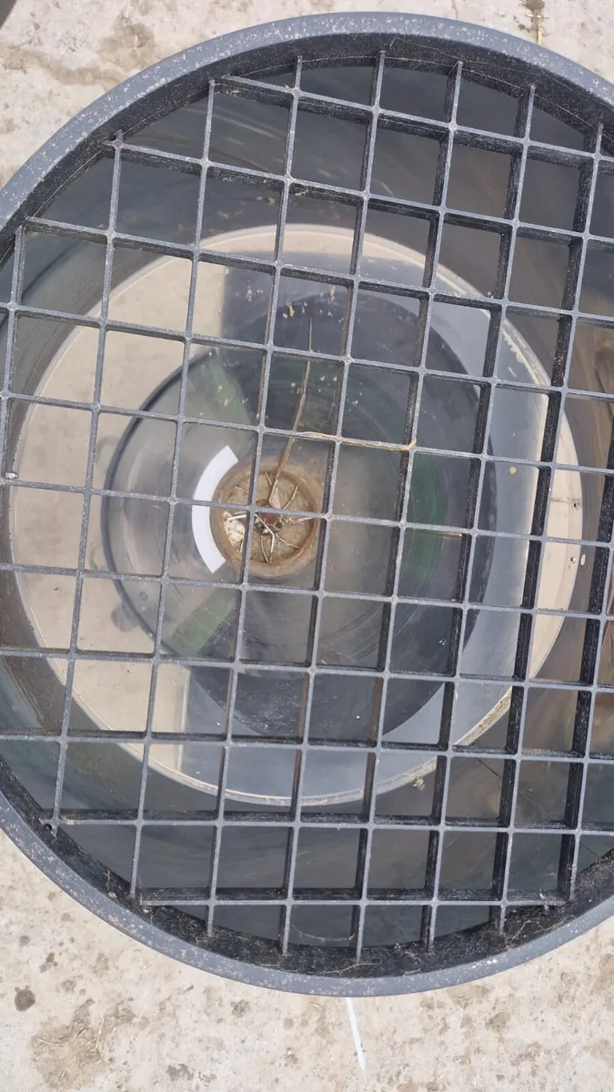 Lamb feeder - Image 1