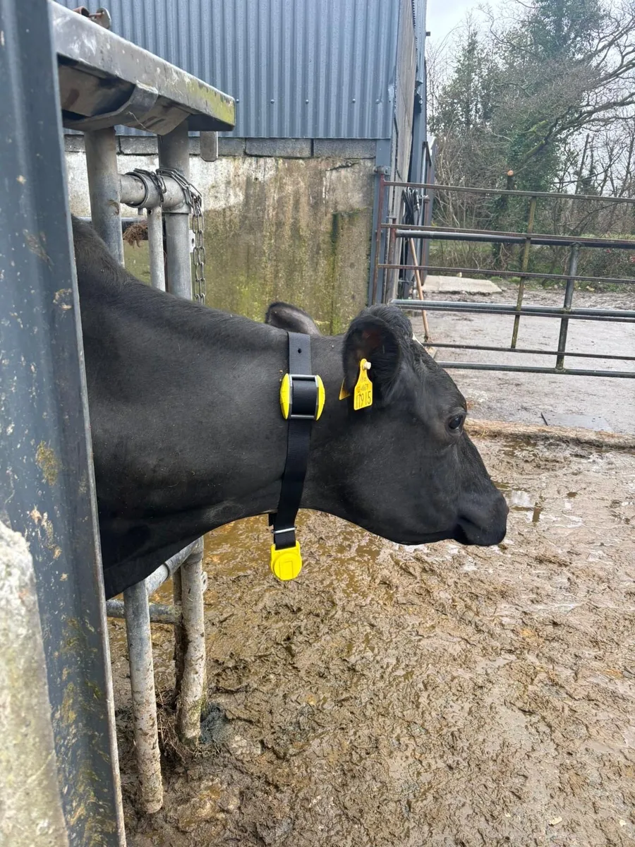 Heat and Health detection system - Image 1