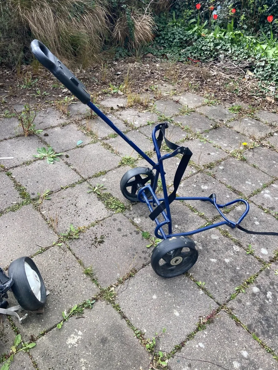 Golf Clubs / Trolleys / Balls and Tees - Image 4