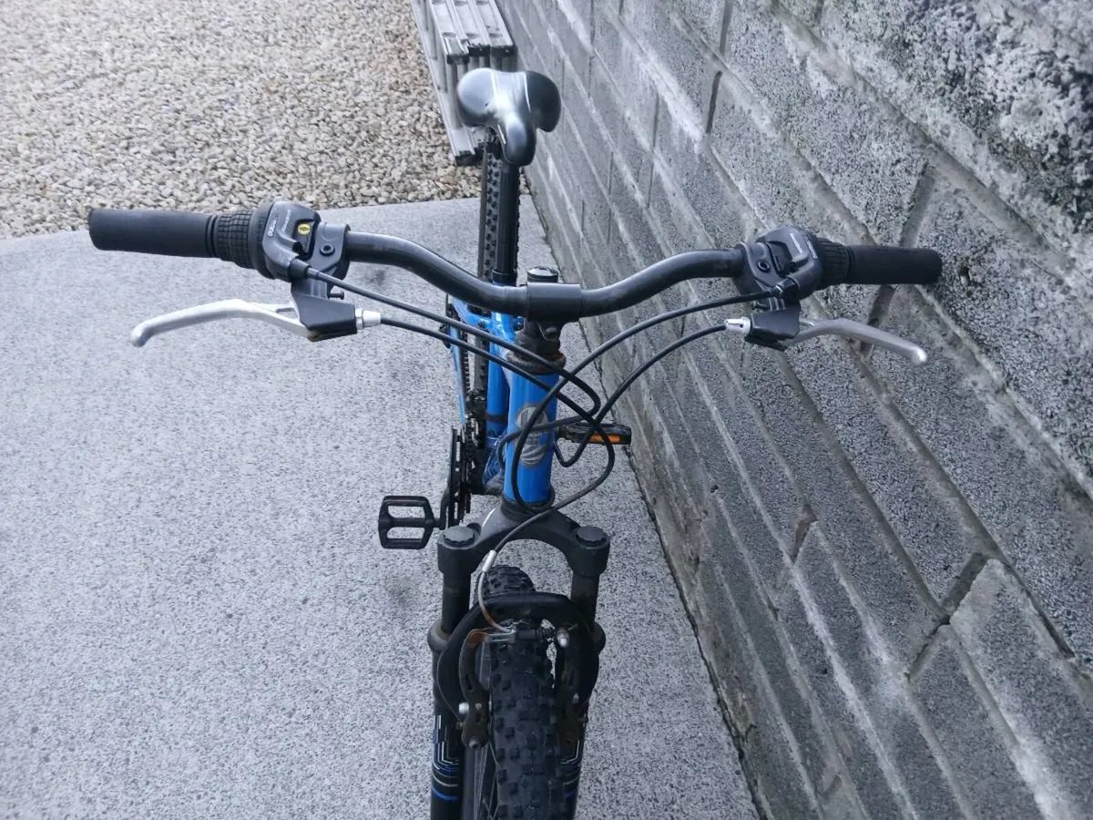 ADULT/TEEN  BIKE - Image 2