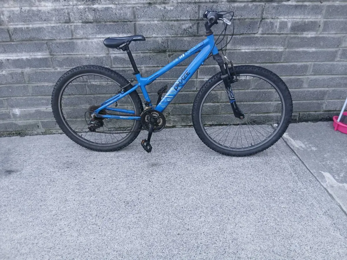 ADULT/TEEN  BIKE - Image 3