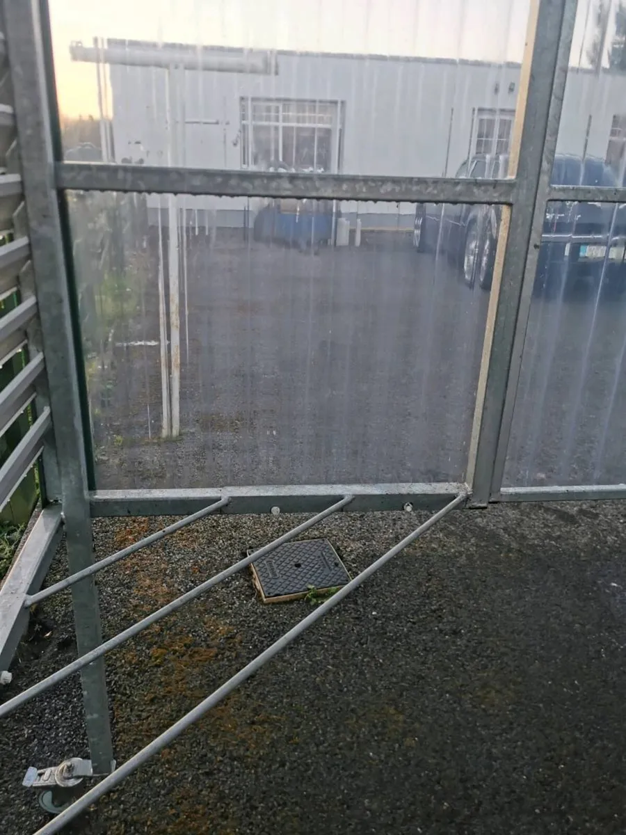 Clothesline - Image 2