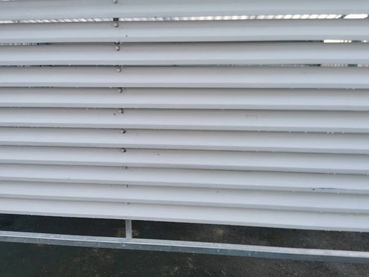 Clothesline - Image 4