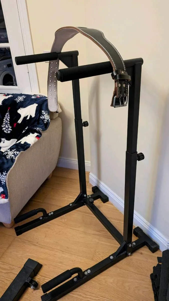 DIP STATION + Lifting belt 150€