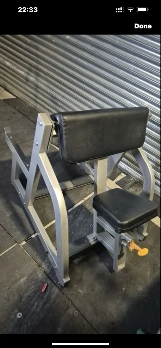 Seated ARMCURL - Image 2