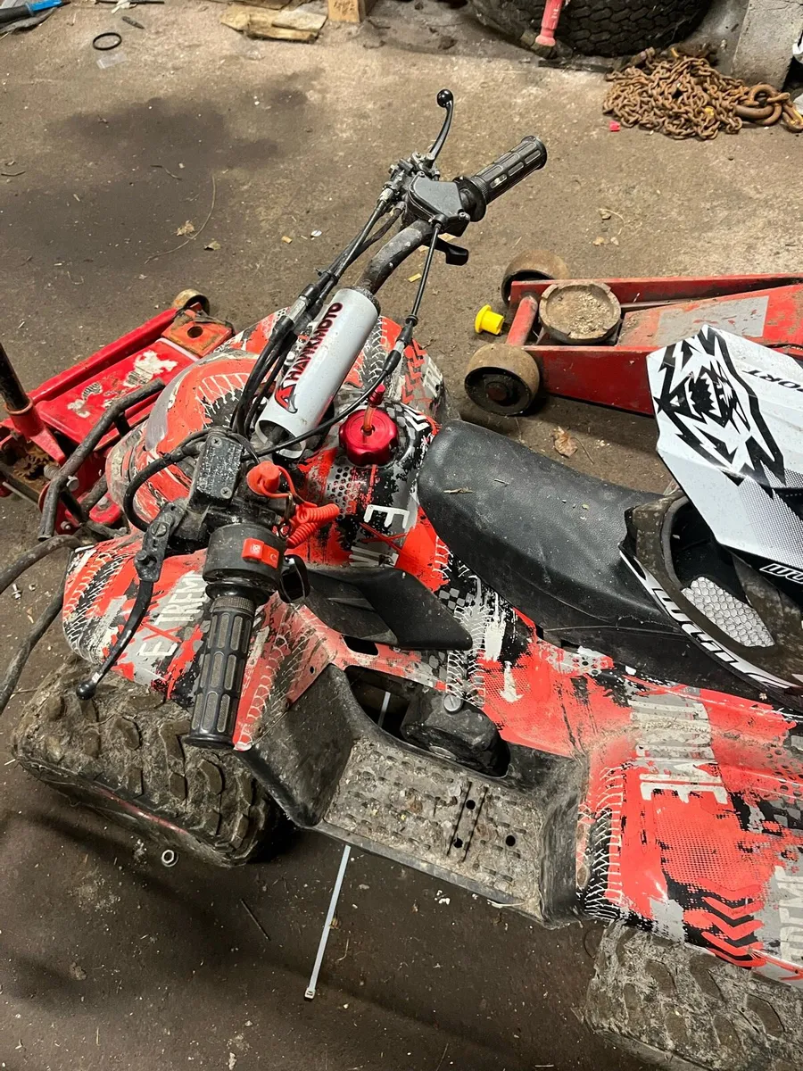 Quads for sale - Image 1