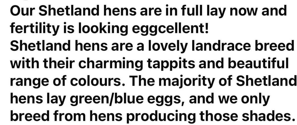 Hatching eggs - Image 3