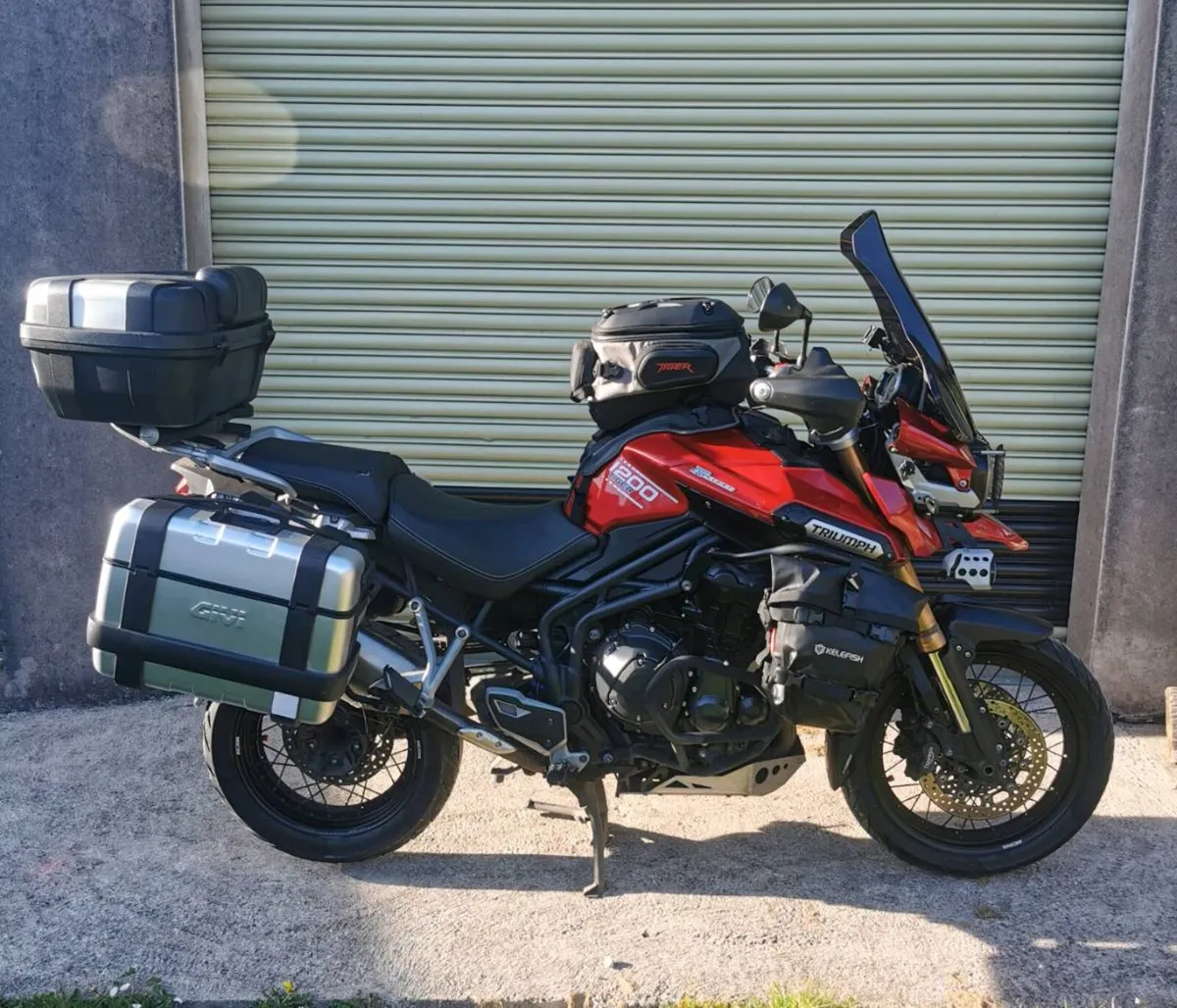 Triumph tiger - Image 1