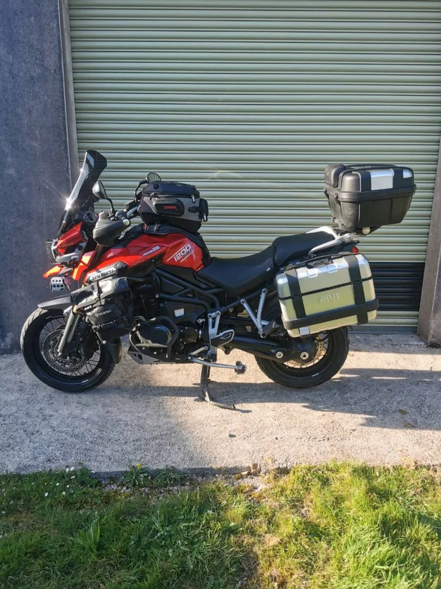 Triumph tiger - Image 3