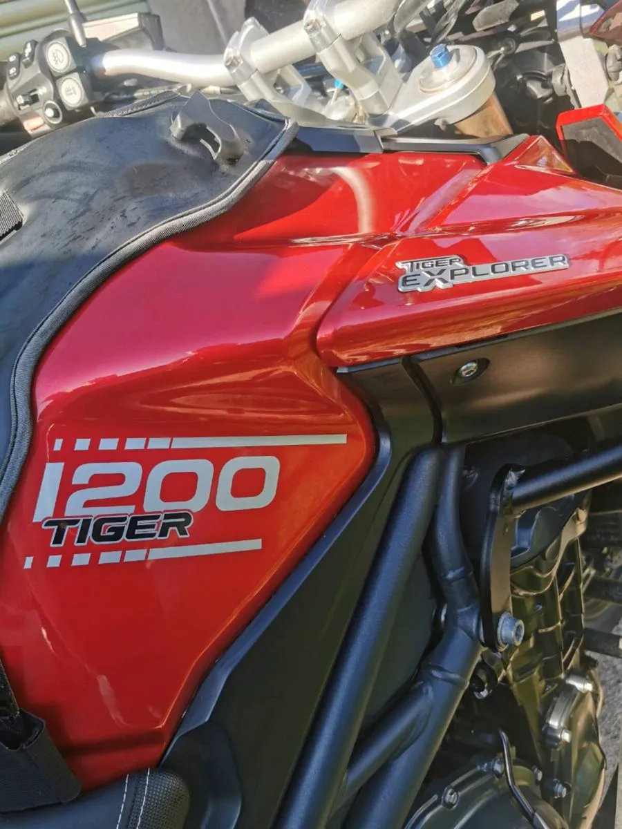 Triumph tiger - Image 4