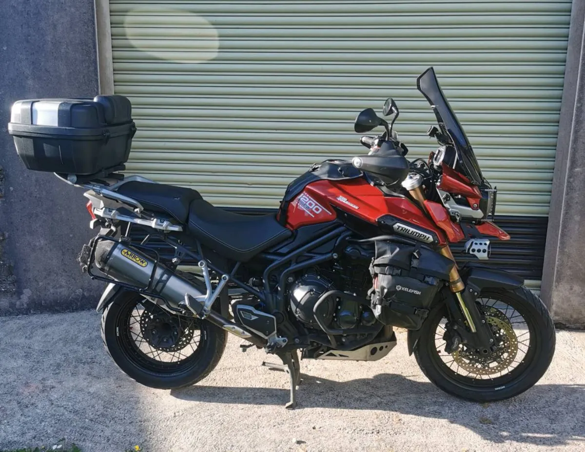 Triumph tiger - Image 2