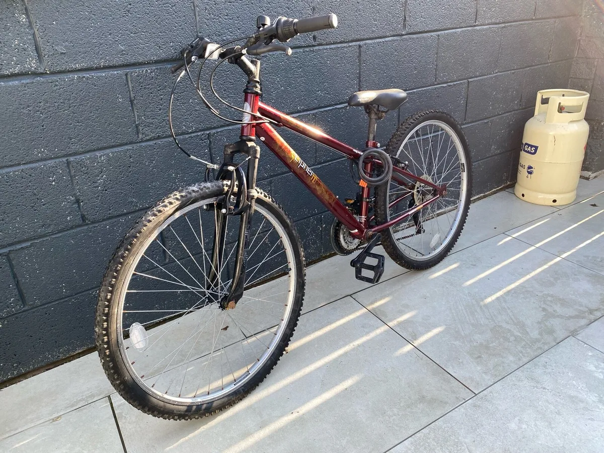 Bike teenage ( up to 160cm) - Image 1