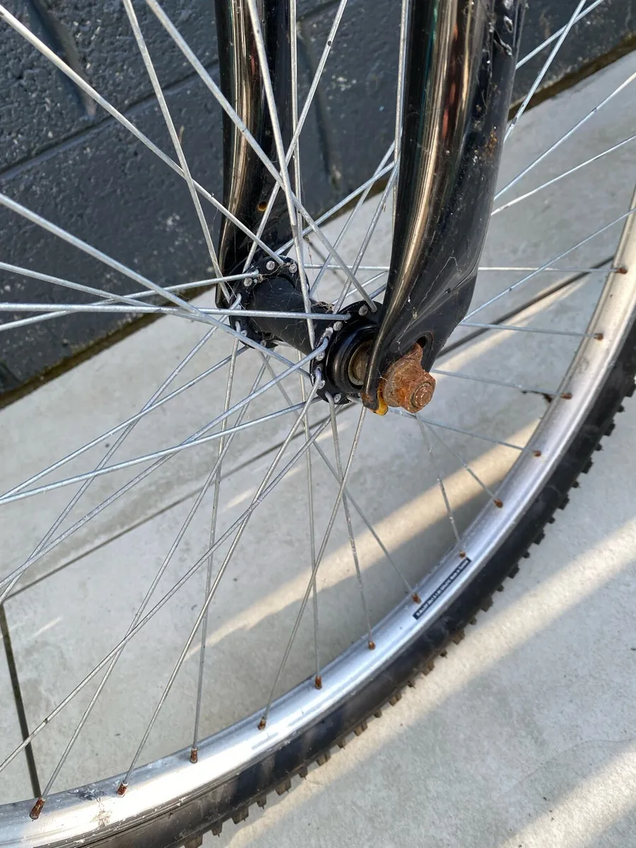 Bike teenage ( up to 160cm) - Image 2