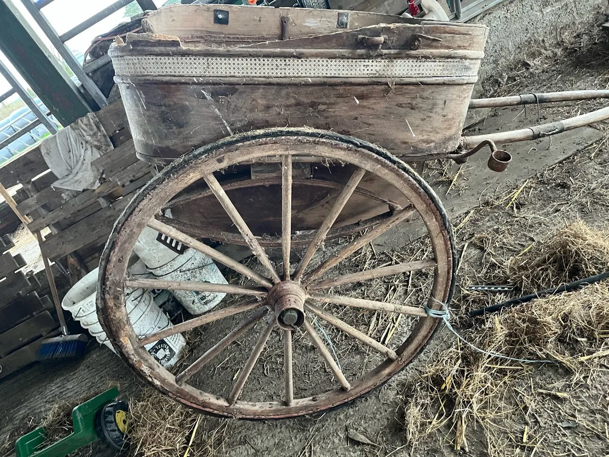 Horse trap - Image 2