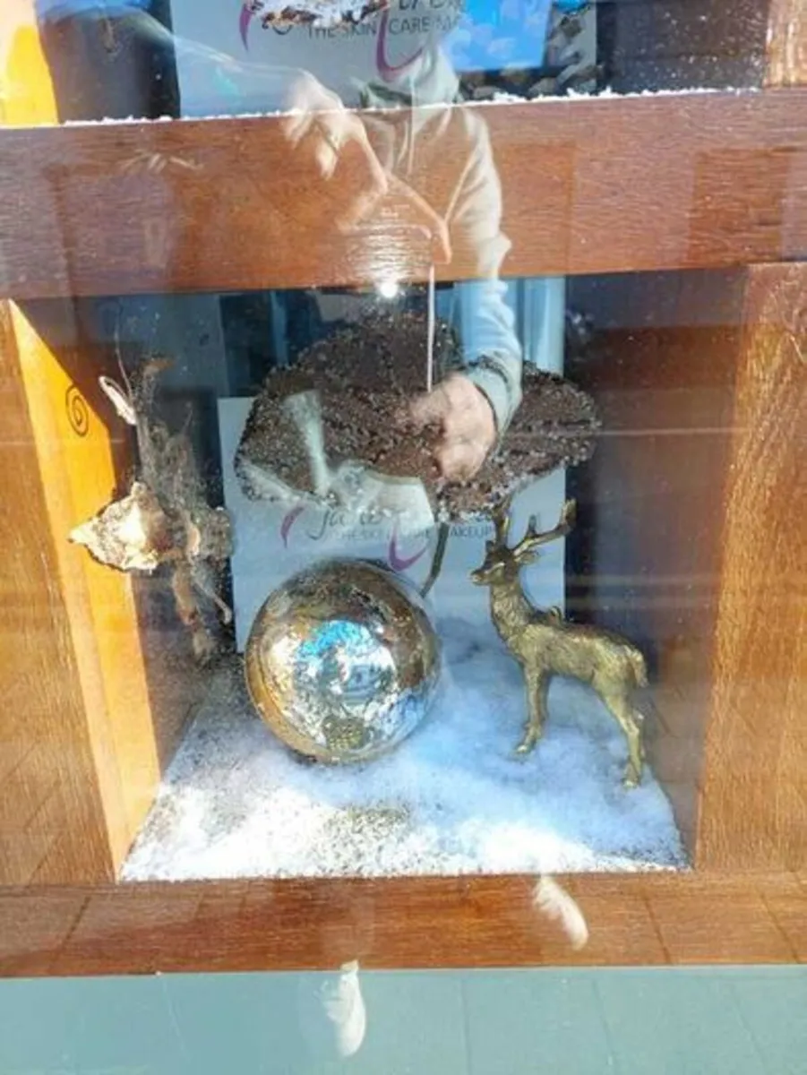 Window display boxes - Solid Walnut - Image 4