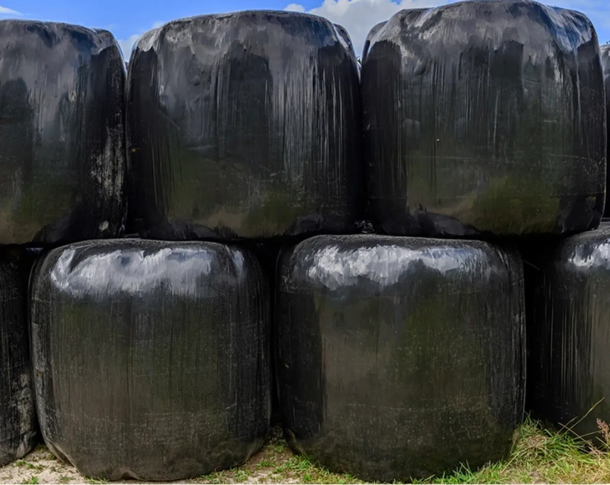 Silage Bales