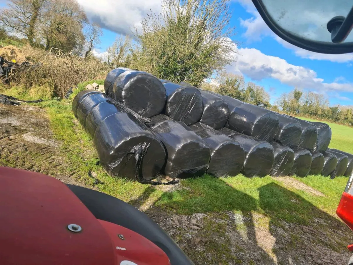 Silage bales to clear - Image 1