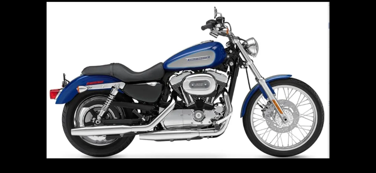 Wanted! HD sportster 48 or 1200 Iron - Image 2