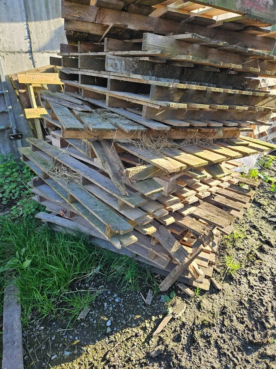 Pallets - Image 1