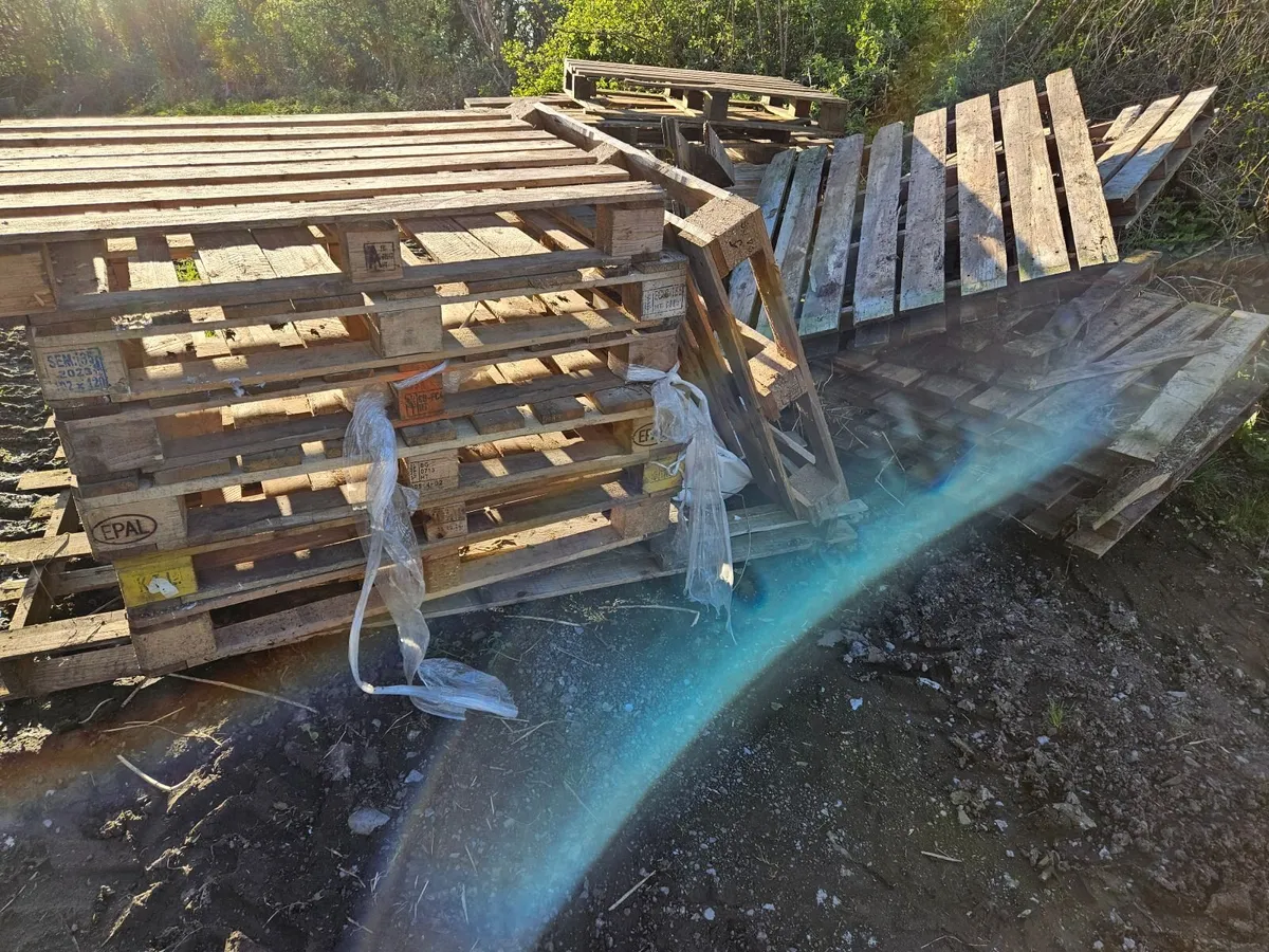 Pallets - Image 2