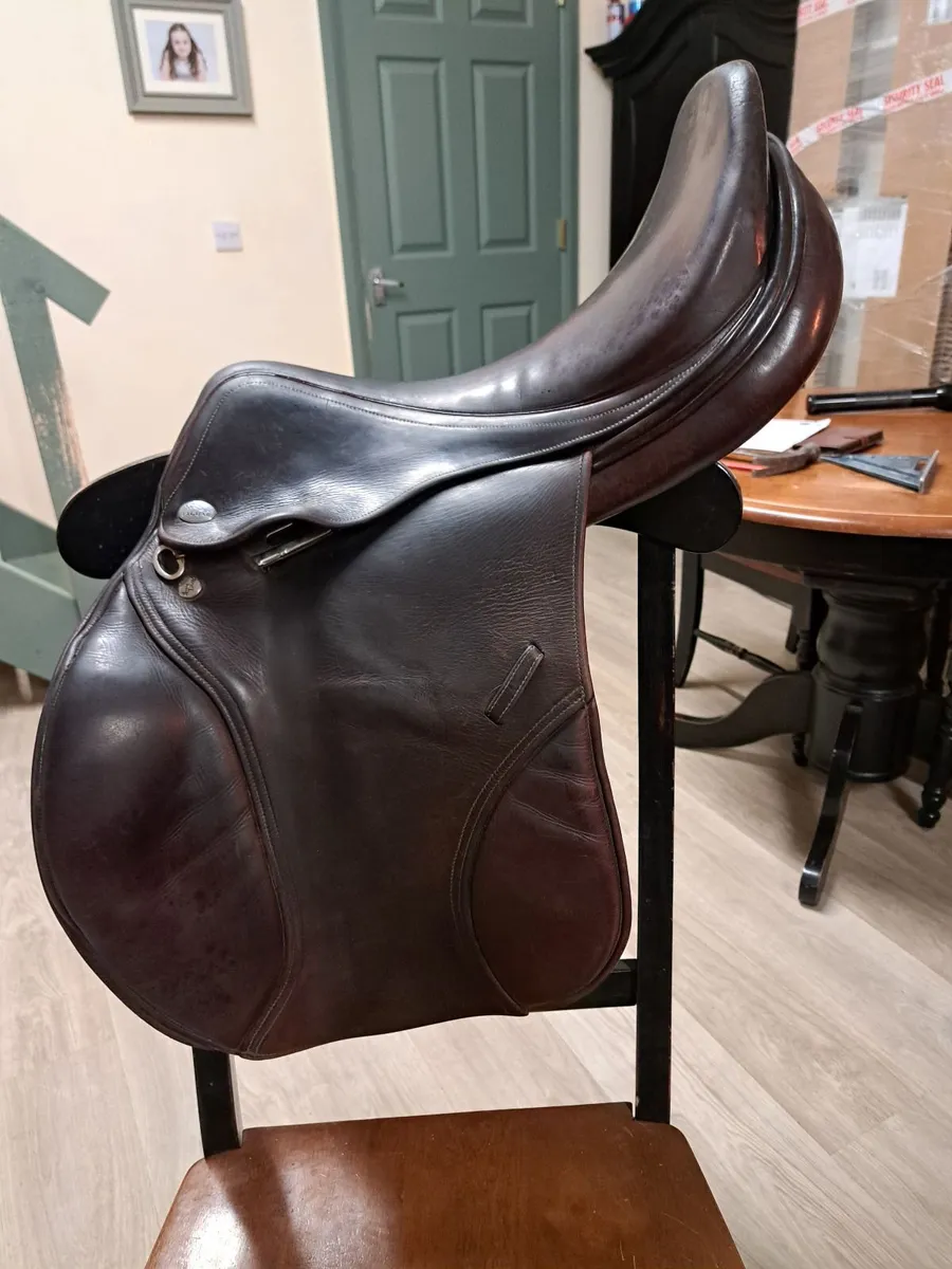 Horse Saddle Harry Dabs Jaguar