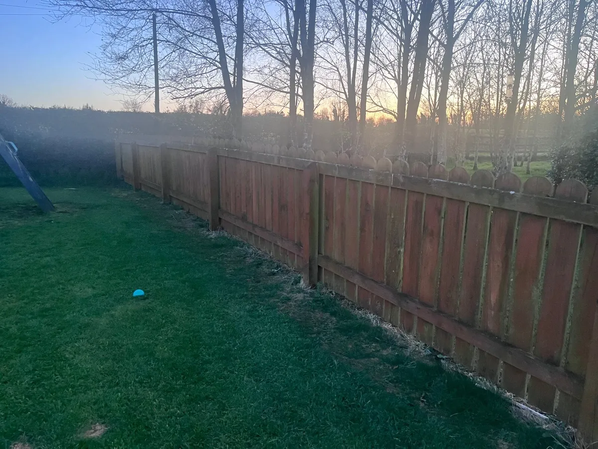 Garden fence - Image 3