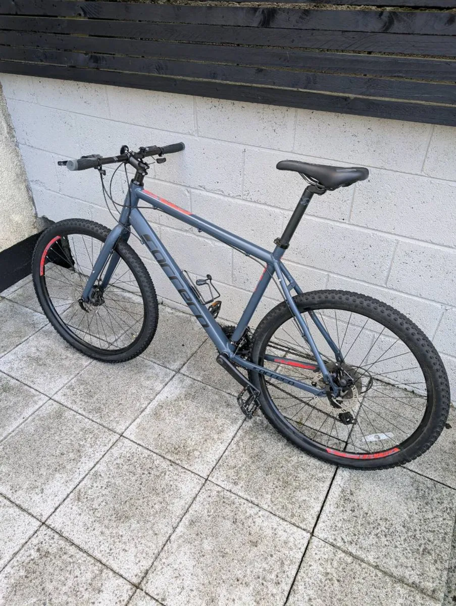 Carrera Bike - Image 3