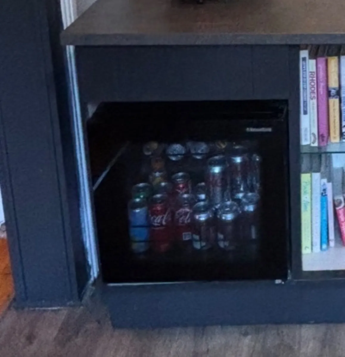 Mini beverage and wine fridge