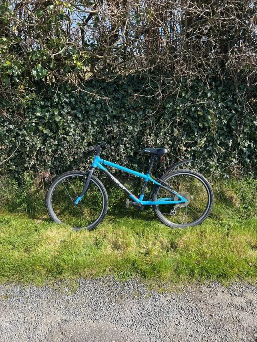 Frog Team Sky - Image 1