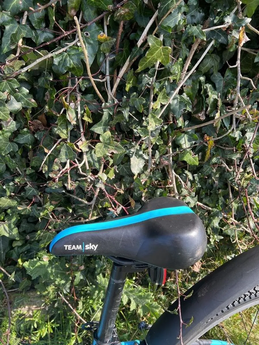 Frog Team Sky - Image 2