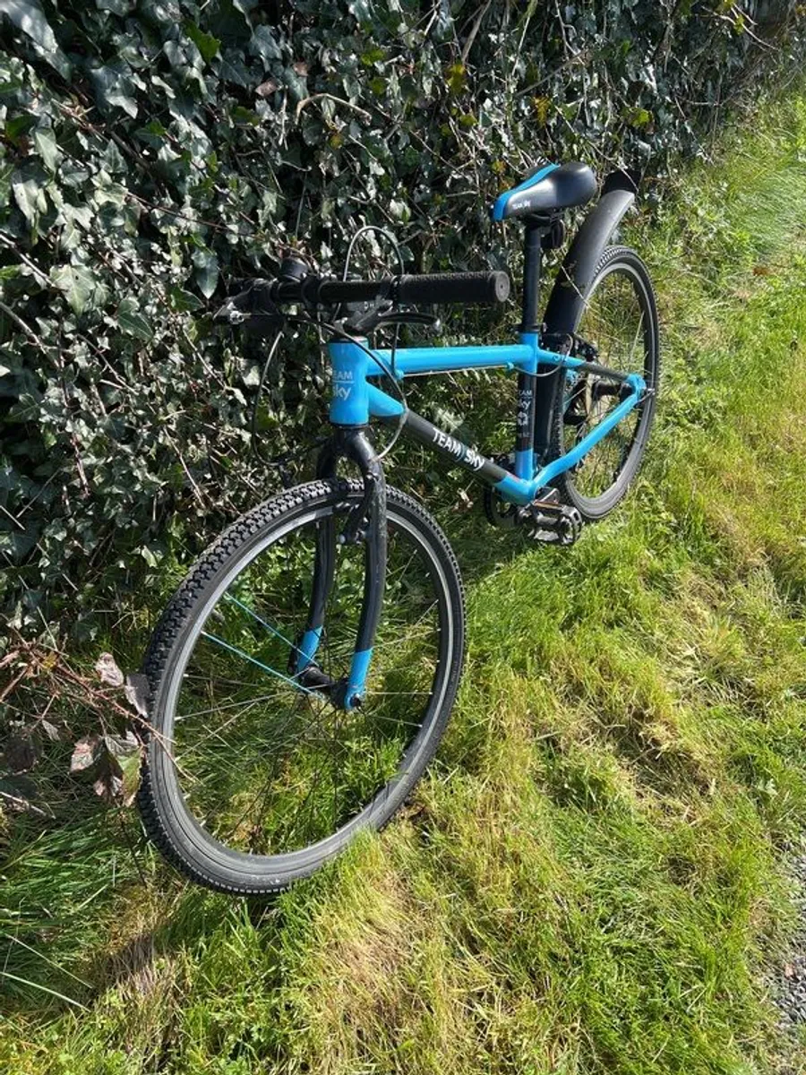 Frog Team Sky - Image 3