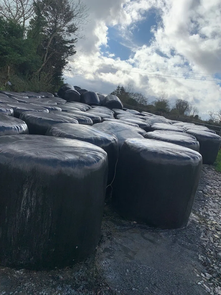 Silage Bales - Image 1