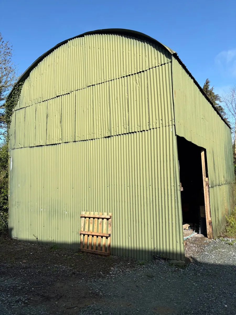 Large shed free to go - Image 1