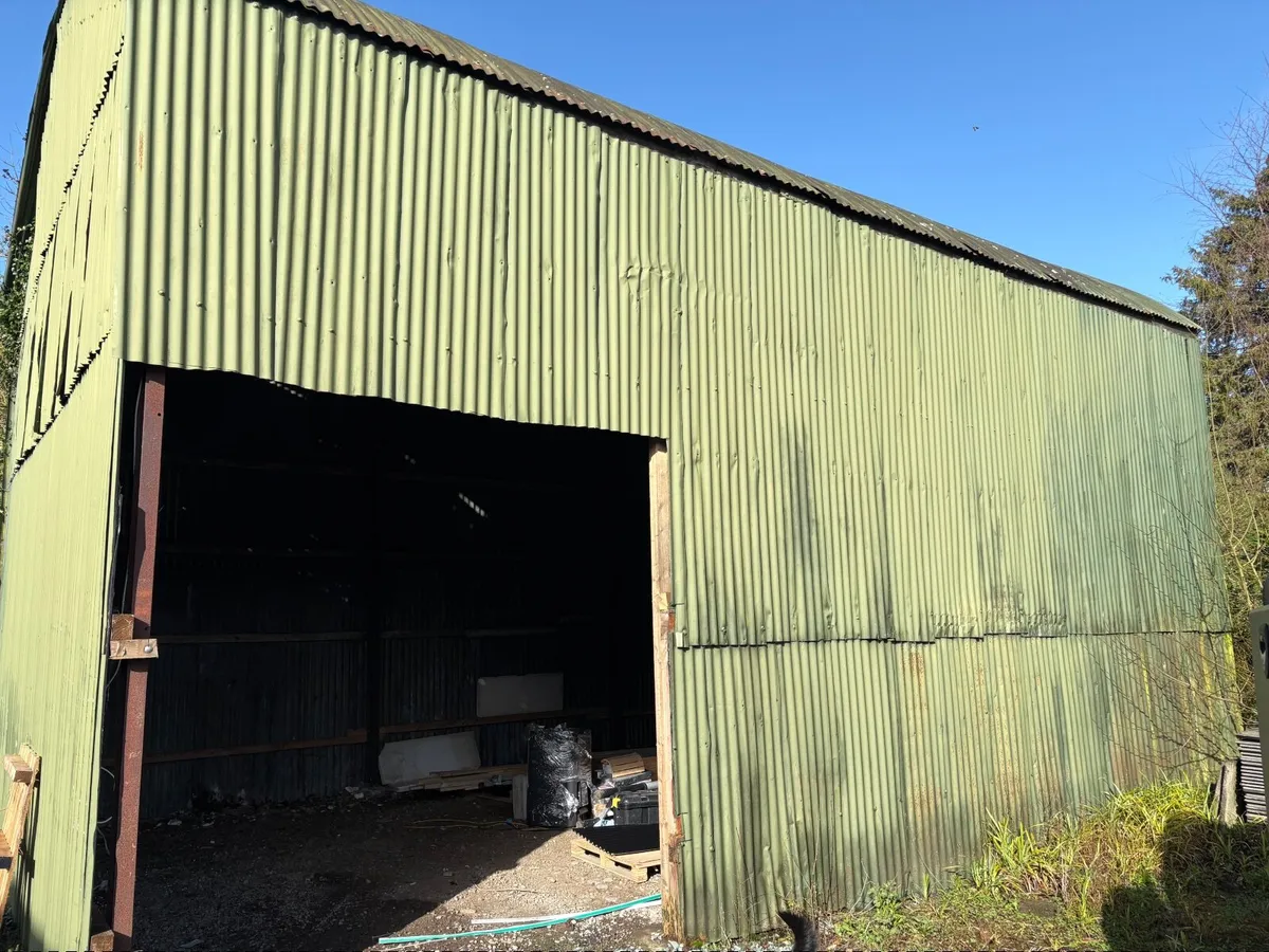 Large shed free to go - Image 2