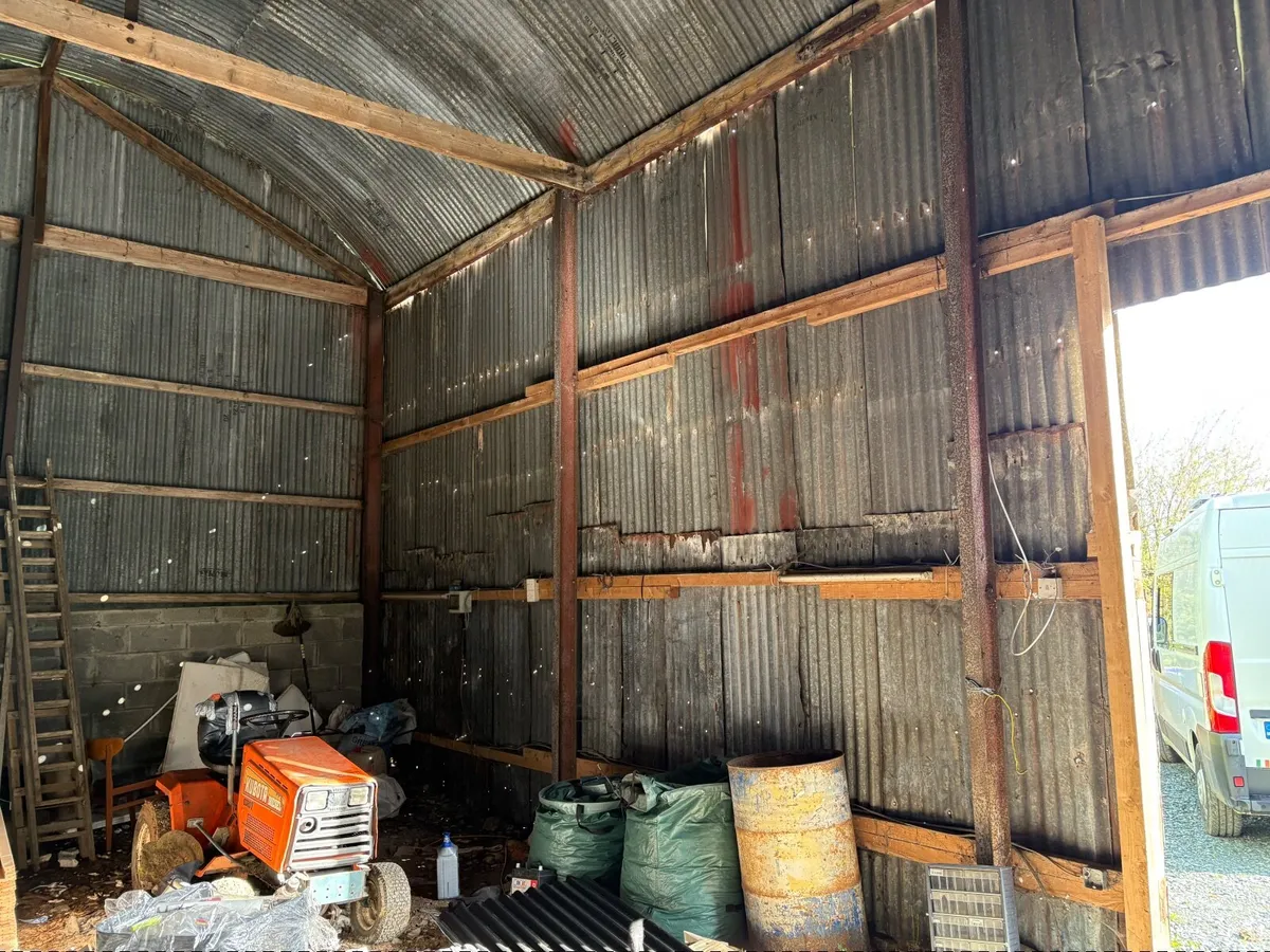 Large shed free to go - Image 3